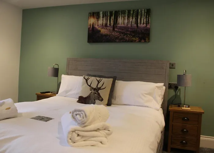 The White Lion Bed & Breakfast Ventnor